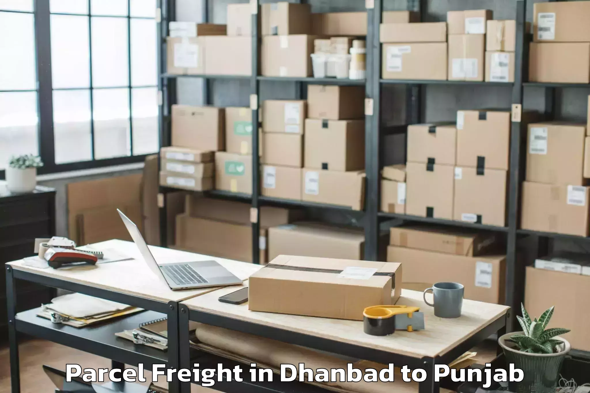 Professional Dhanbad to Phagwara Parcel Freight